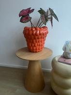 Bijzettafel cone naturel, Minder dan 55 cm, Rond, Hout, Ophalen