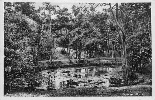 (388-365-011) Driebergen-Rijsenburg Vijver in t Bosch, Verzamelen, Ansichtkaarten | Nederland, Utrecht, Verzenden