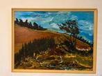 Landschap schilderij olieverf mooi pasteus opgezet, Ophalen of Verzenden