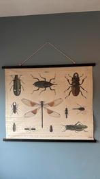 HKlibon postwr insects, Ophalen of Verzenden, A1 t/m A3, Rechthoekig Liggend