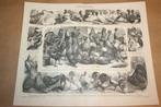 Antieke prent - Kippen, eenden, duiven e.d. - Ca 1885 !!, Verzamelen, Foto's en Prenten, Ophalen of Verzenden, Voor 1940, Gebruikt