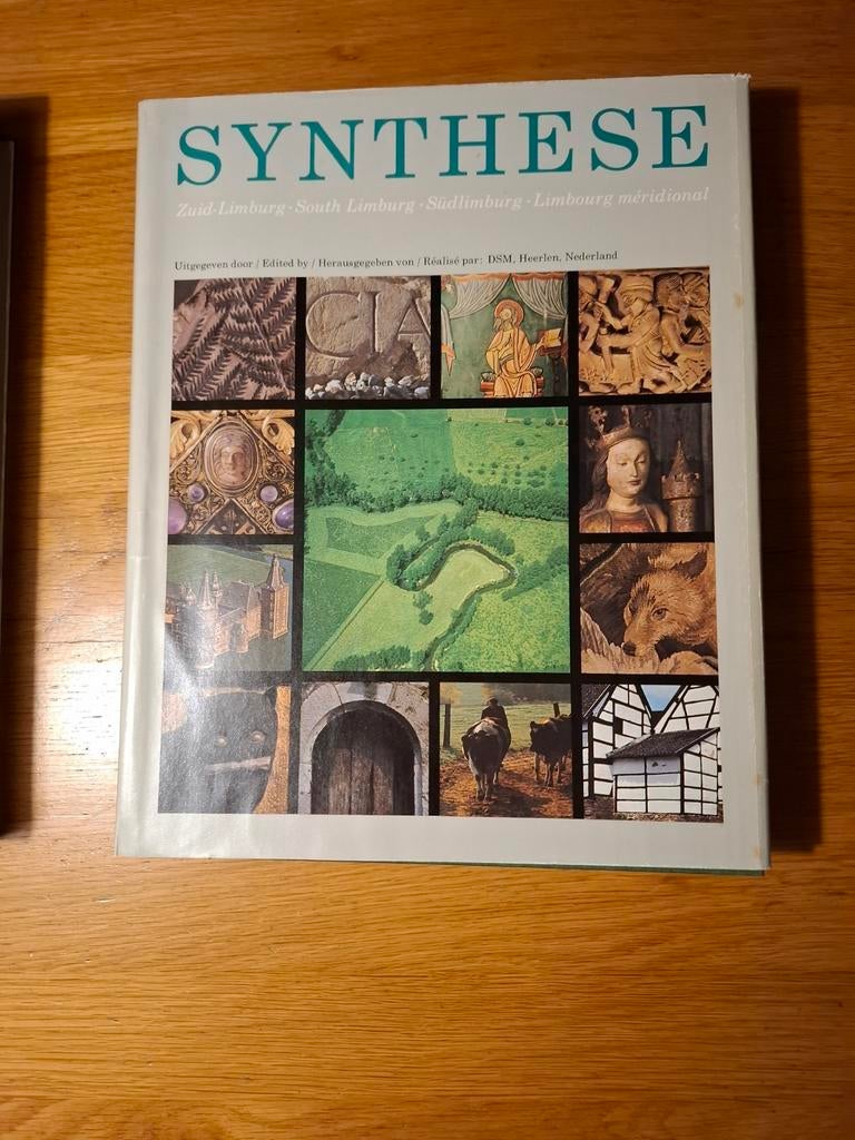 Synthese Zuid-Limburg DSM 75 jaar, Boeken, Gelezen, Limburg, Martin Verjans, Ophalen of Verzenden