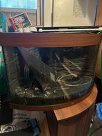 Hoek Aquarium, Ophalen, Leeg aquarium