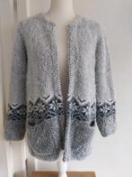 Grijs vest met Noors motief - Maat M Lea H, Kleding | Dames, Ophalen of Verzenden, Zo goed als nieuw, Maat 38/40 (M), Grijs
