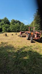 Hooipakjes 2025  mooi droog spul onkruidvrij, Dieren en Toebehoren, Ophalen