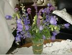 Zaden van CAMPANULA PERSICIFOLIA, Ophalen, Voorjaar, Halfschaduw, Zaad