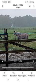Regendeken, Ophalen of Verzenden