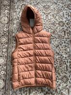 Bodywarmer, Ophalen of Verzenden, Nieuw, Overige maten