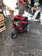 Mooie hondenfietskar/buggy in zeer goede staat., Dieren en Toebehoren, Ophalen, Gebruikt