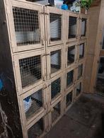 Aljo flat 8-16 delig, Dieren en Toebehoren, Knaagdieren en Konijnen | Hokken en Kooien, Ophalen, Cavia, 90 cm of meer, Hok