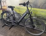 Pegasus Premio EVO 10 – Elektrische Damesfiets - 750WH Accu, Fietsen en Brommers, Elektrische fietsen, Info@pegasus-bikes.de, Ophalen of Verzenden