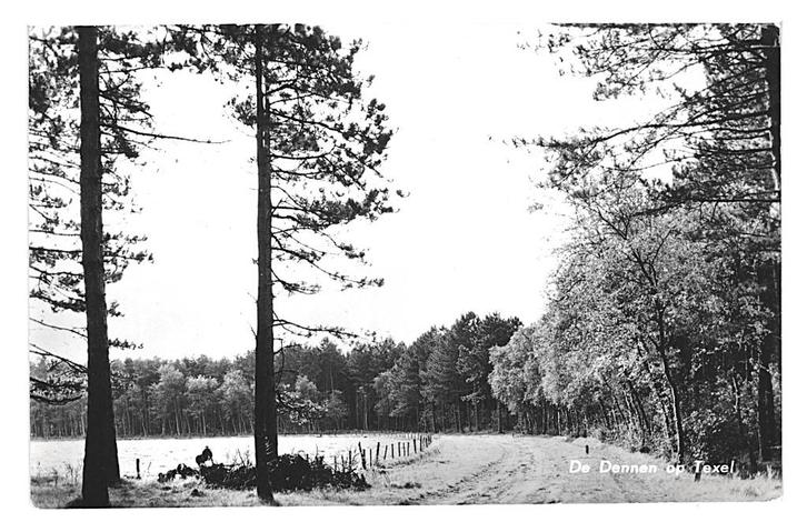 943451 Texel 1960 De Dennen Gelopen met Postzegel, Verzamelen, Ansichtkaarten | Nederland, Gelopen, Waddeneilanden, 1960 tot 1980