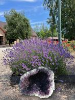 Amethist Geode (31)Ruw, zo uit de mijn en onbehandeld!, Ophalen of Verzenden, Mineraal