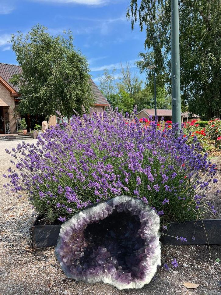 Amethist Geode (31)Ruw, zo uit de mijn en onbehandeld!, Verzamelen, Mineralen en Fossielen, Mineraal, Ophalen of Verzenden