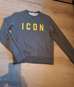 SWEATHER DSQUARED2 ICON 16 JAAR/MAAT S GRIJS, Ophalen of Verzenden, Zo goed als nieuw, Overige maten, Grijs