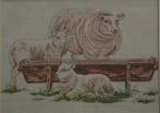 Borduurpatroon  Schaap  en  lammetjes   nr 2013, Hobby en Vrije tijd, Borduren en Borduurmachines, Verzenden, Nieuw, Handborduren