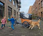 🎄Babboe Go mountain bakfiets met huif