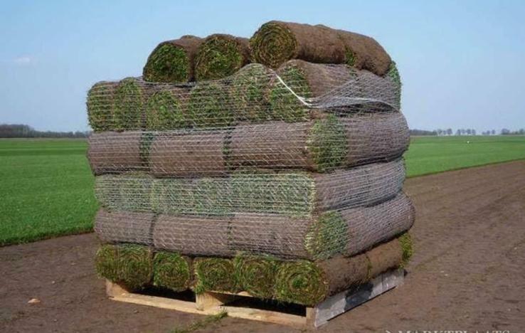 Gezocht!! Gratis graszoden grasmat, Tuin en Terras, Ophalen, Nieuw