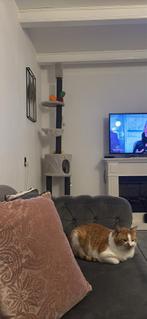 Krabpaal, Ophalen, Krabpaal