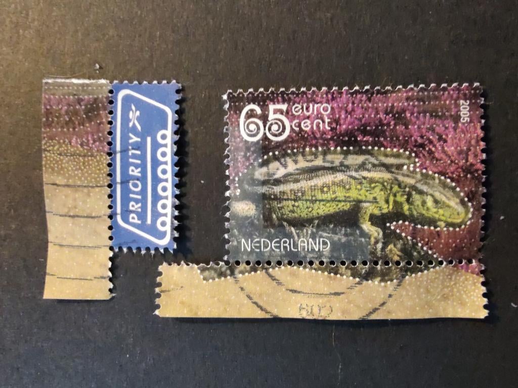 2336a zandhagedis 2005 uit blok, Ophalen of Verzenden