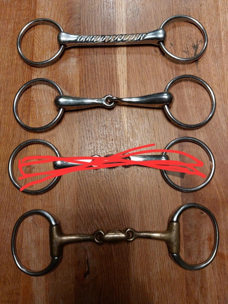 Bitten, Dieren en Toebehoren, Ophalen of Verzenden, Overige soorten