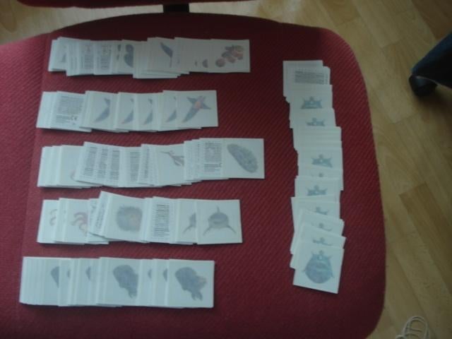 OCEAAN TATOOS ( AH ), Verzamelen, Supermarktacties, Albert Heijn, Ophalen of Verzenden