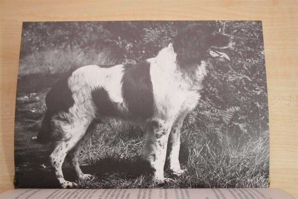 Onze Drent — Jubileumboek Drentsche Patrijshond [1948-1978], Ophalen of Verzenden, Zo goed als nieuw, Katten