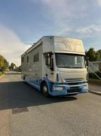 Iveco Eurocargo Iveco STX paardevrachtwagen voor 5 paarden p, Auto's, Vrachtwagens, 275 pk, Overige kleuren, Iveco, Bedrijf