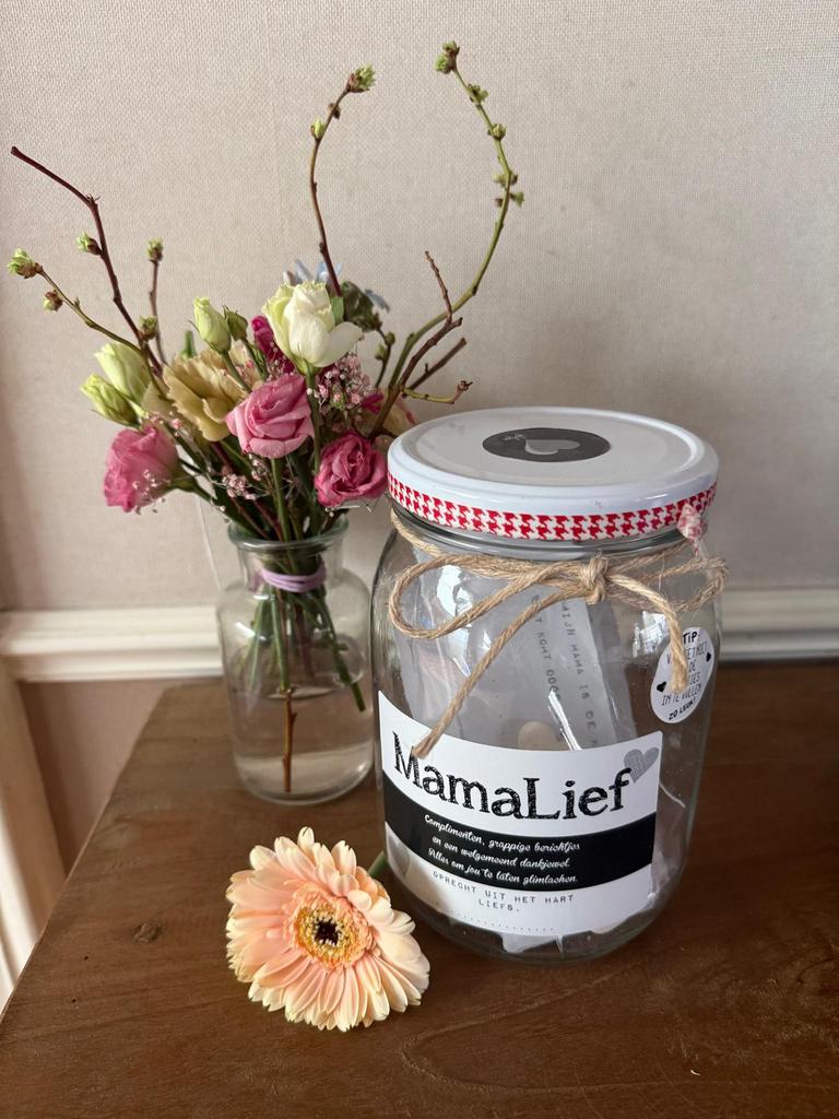 Mamalief het leukste cadeau voor moeders, Ophalen of Verzenden, Nieuw