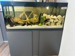 Eheim aquarium 280 liter met onderkast en toebehoren, Ophalen, Zo goed als nieuw, Gevuld zoetwateraquarium