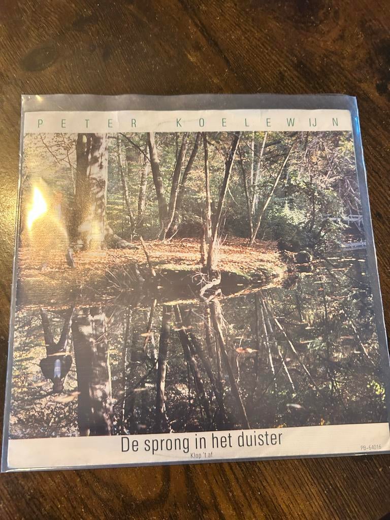 Peter Koelewijn - De sprong in het duister, Ophalen, Gebruikt, 7 inch, 1980 - 1989