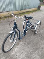 Driewielfiets, Fietsen en Brommers, Fietsen | Driewielfietsen, Ophalen, Gebruikt, Pfautec