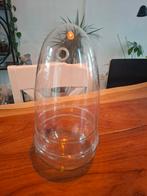 Unieke glazen pot in ei-vorm voor terrarium, Ophalen, Overige kleuren, Minder dan 50 cm, Glas