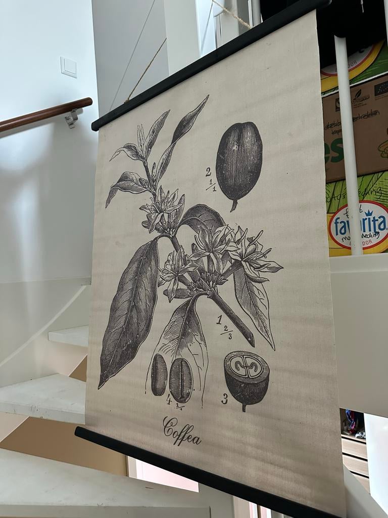 Oude schoolplaat koffie, Ophalen of Verzenden, Overige thema's