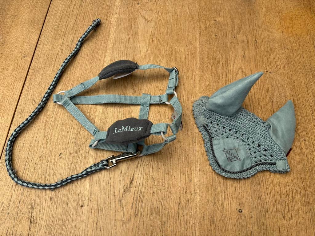 Hobby horse Lemieux halster en oornetje, Ophalen of Verzenden, Zo goed als nieuw