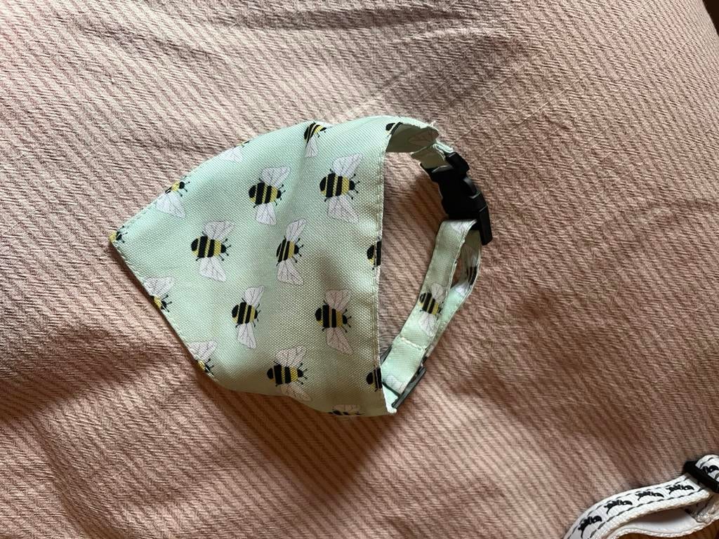 Honden halsband, Dieren en Toebehoren, Ophalen of Verzenden, Zo goed als nieuw