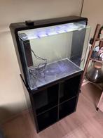 Aquarium, Ophalen, Zo goed als nieuw, Leeg aquarium