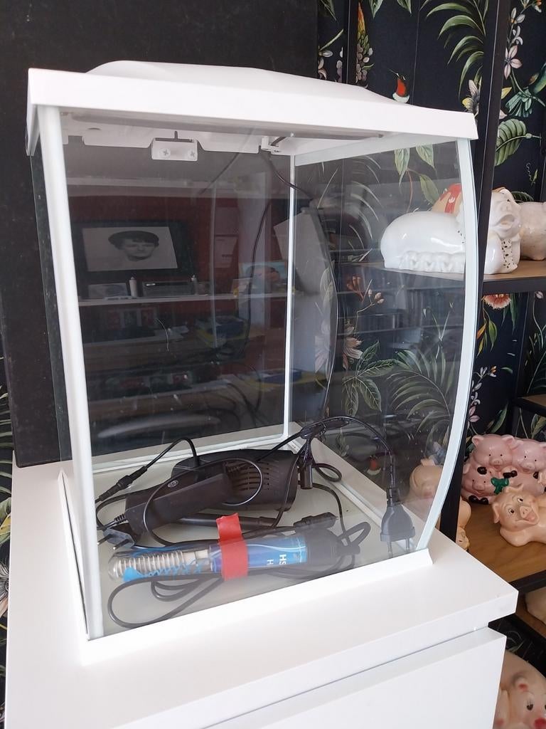 Aquarium, Dieren en Toebehoren, Vissen | Aquaria en Toebehoren, Ophalen, Zo goed als nieuw, Gevuld zoetwateraquarium