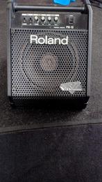 Roland PM-10 drum monitor, Ophalen of Verzenden, Gebruikt, Minder dan 500 watt, Monitor(versterker)