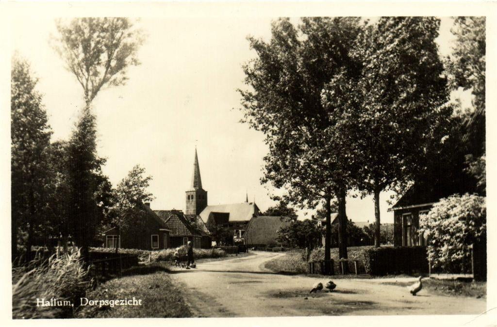 Hallum, Dorpsgezicht - 1954 gelopen, Verzenden, Voor 1920, Gelopen, Noord-Brabant