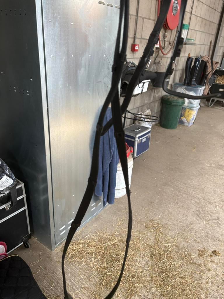 Nieuwe teugels, Dieren en Toebehoren, Ophalen of Verzenden, Zo goed als nieuw