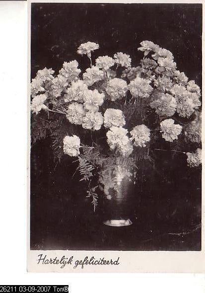 Ansichtkaart	Hartelijk Gefeliciteerd	Bloemen	Anjers, Verzenden, 1940 tot 1960, Gelopen, Natuur