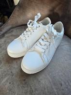 Sneakers maat 40, Kleding | Dames, Schoenen, Blue Box, Wit, Ophalen of Verzenden, Sneakers of Gympen
