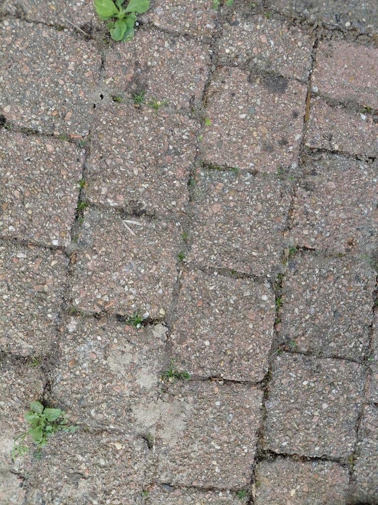 Gratis 700 stuks 10x10 cm. stenen., Ophalen, Gebruikt, Klinkers, 5 tot 10 m²