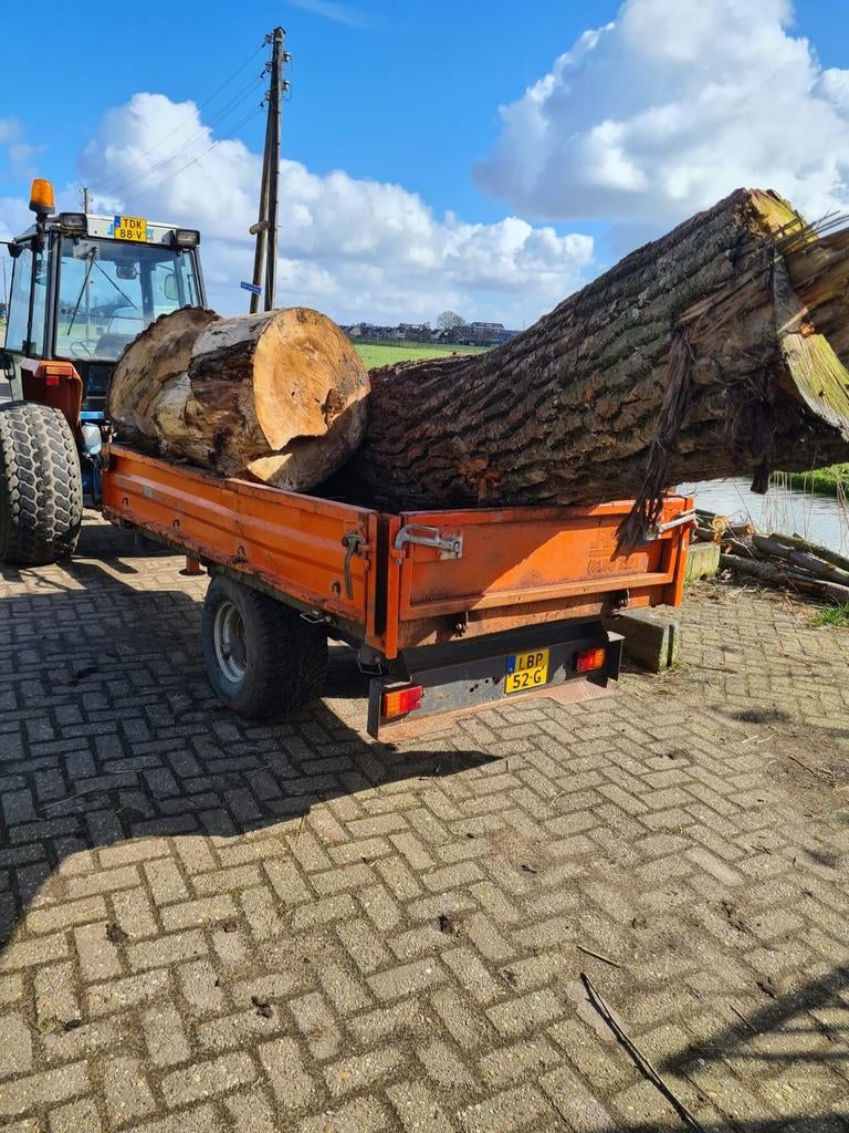 Gratis haardhout en stammen af te halen in TIEL, Tuin en Terras, Haardhout, 3 tot 6 m³, Ophalen, Overige houtsoorten, Stammen
