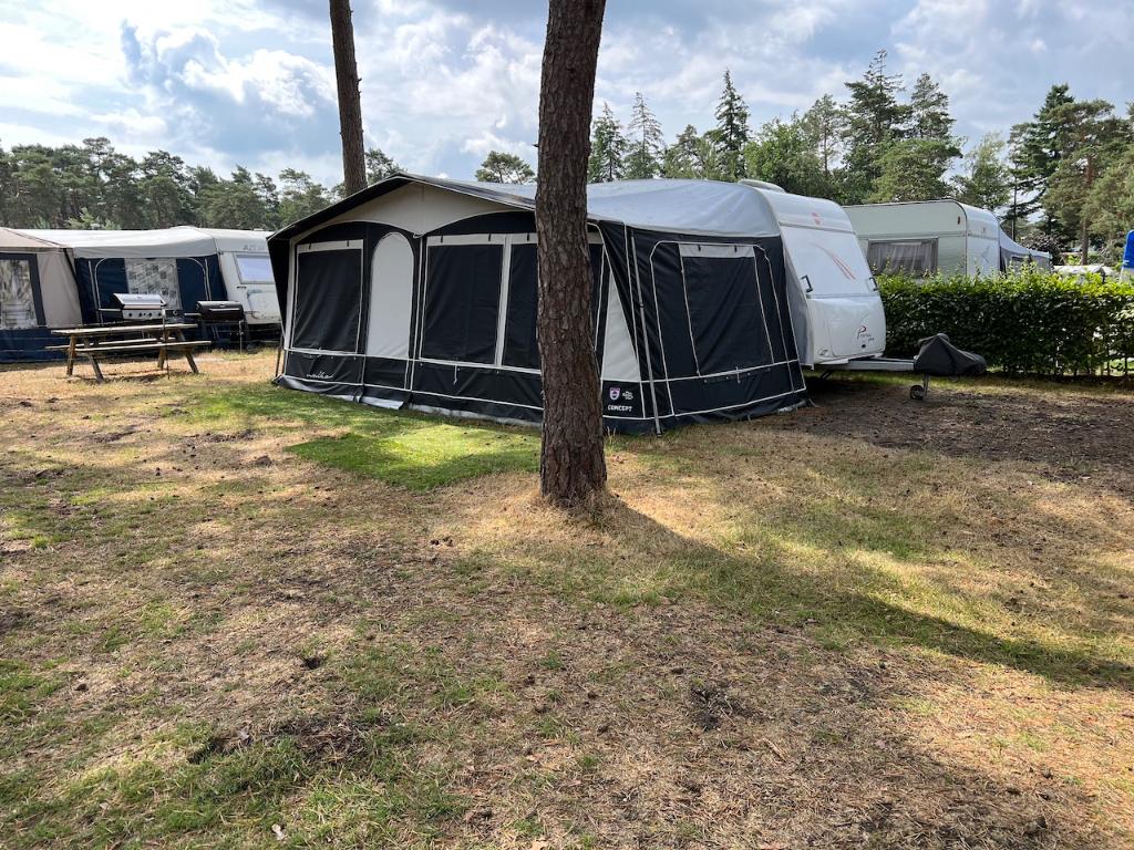 Walker Concept 280 – Maat 1005, Caravans en Kamperen, Ophalen, Zo goed als nieuw, PVC, Walker Campingstyle