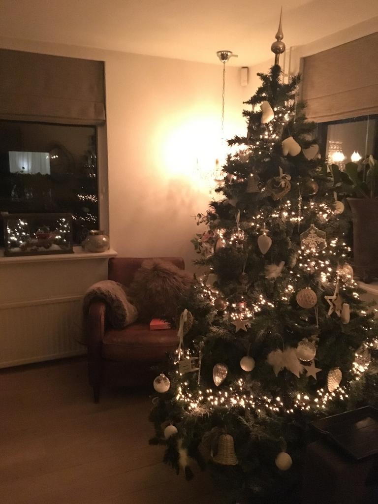 Gratis kerstboom, Diversen, Ophalen of Verzenden, Zo goed als nieuw