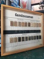 Oude educatieve vitrine/display groentenzaden, Ophalen, Natuur en Biologie