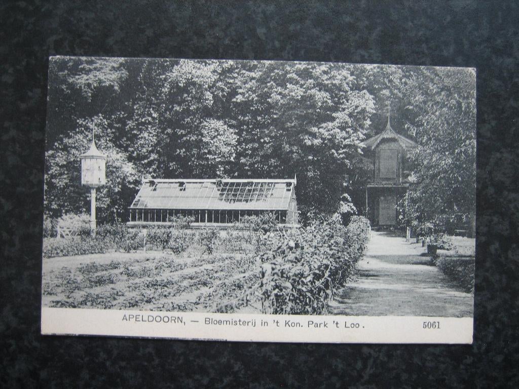 APELDOORN Bloemisterij in koninklijk par het Loo 1910, Ophalen of Verzenden, Voor 1920, Gelderland