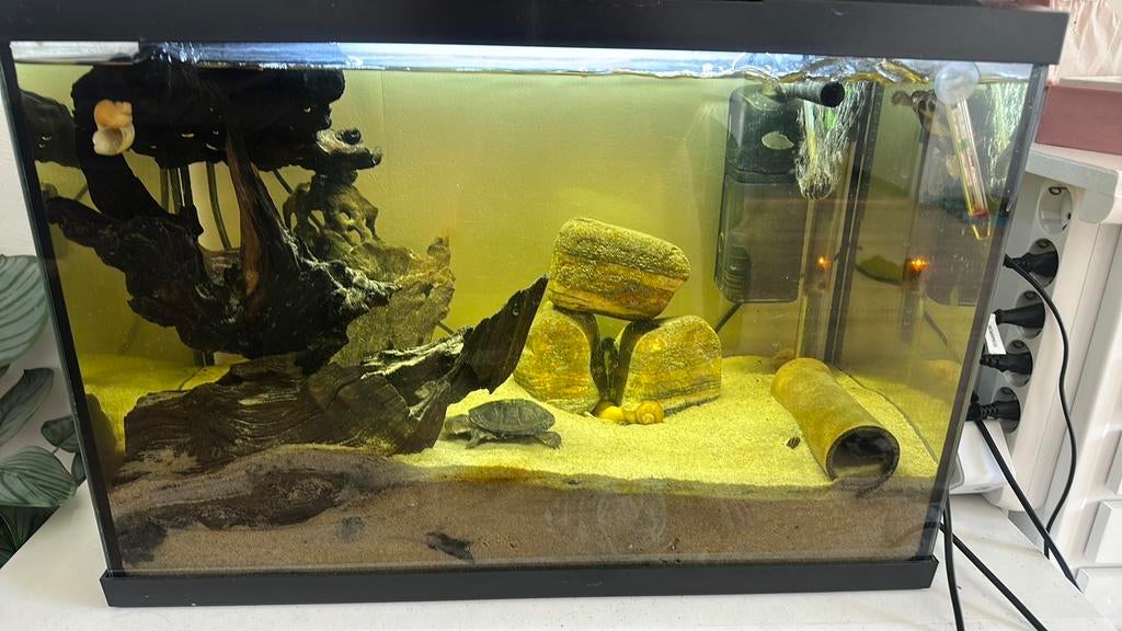 Aquarium 60 liter met inhoud, Dieren en Toebehoren, Vissen | Aquaria en Toebehoren, Ophalen, Inclusief vissen, Superfish, Gevuld zoetwateraquarium